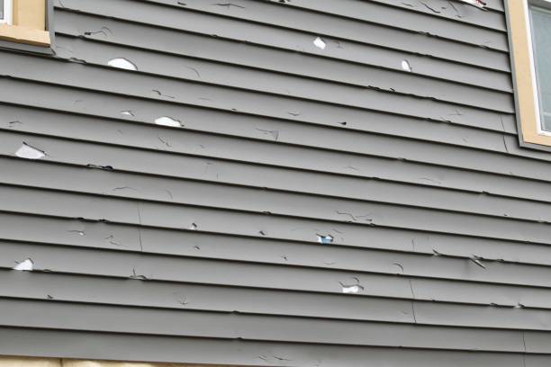 Best Shed Removal  in Kaumakani, HI